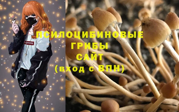 каннабис Аркадак