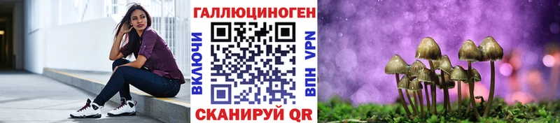 Купить где Константиновск Псилоцибиновые грибы Magic Shrooms