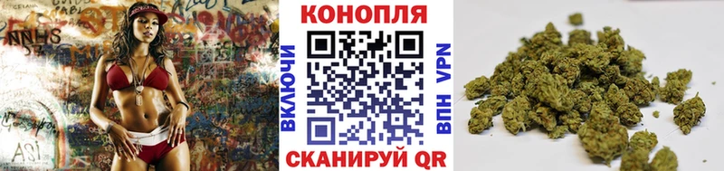 Купить закладки  Константиновск  Конопля сатива 